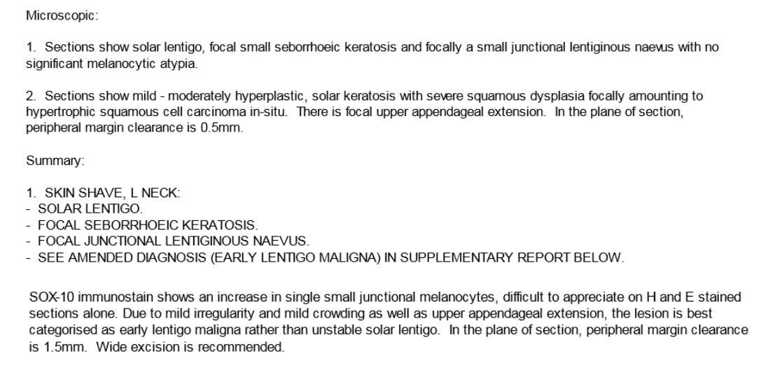 18 - pathology-1