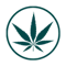 Medicinal cannabis icon-1