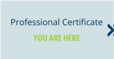 Professional Certificate of Melanography - You are here